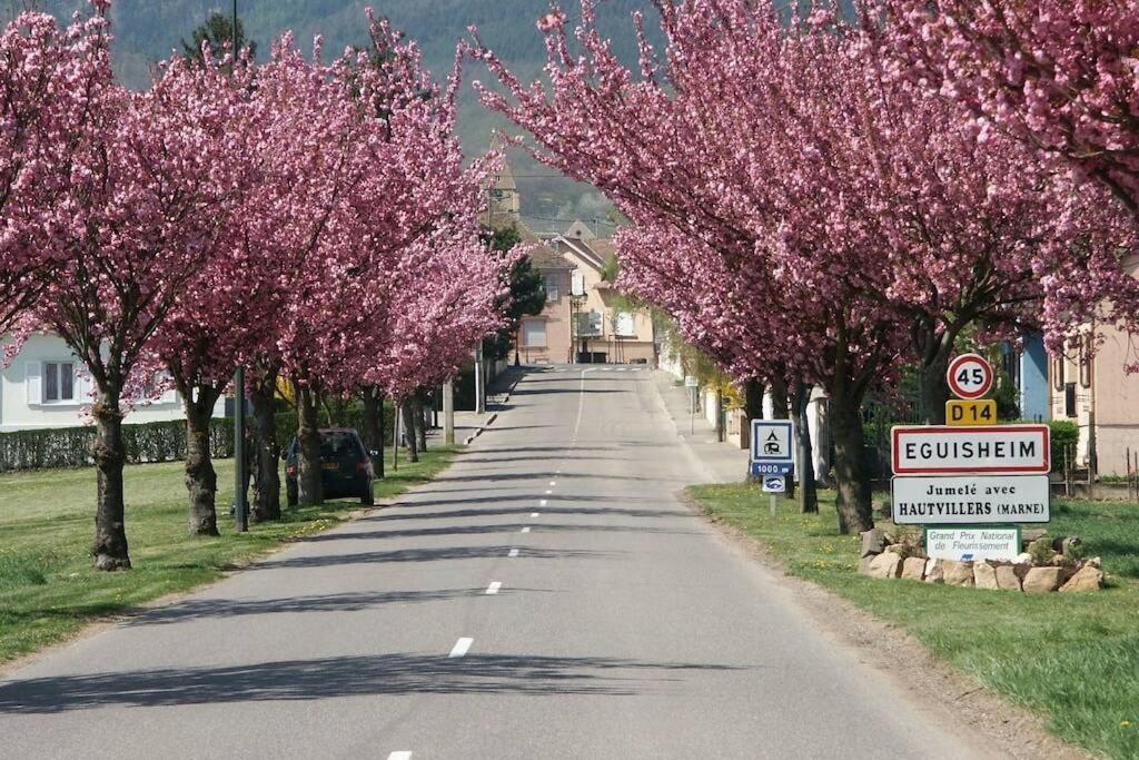 Gite A Eguisheim Proche De Colmar Et Kaysergberg. Εξωτερικό φωτογραφία