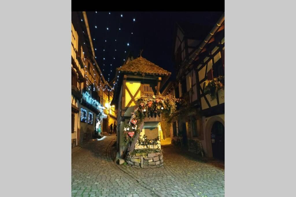 Gite A Eguisheim Proche De Colmar Et Kaysergberg. Εξωτερικό φωτογραφία