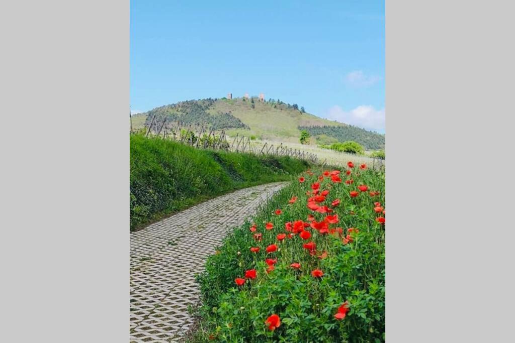 Gite A Eguisheim Proche De Colmar Et Kaysergberg. Εξωτερικό φωτογραφία
