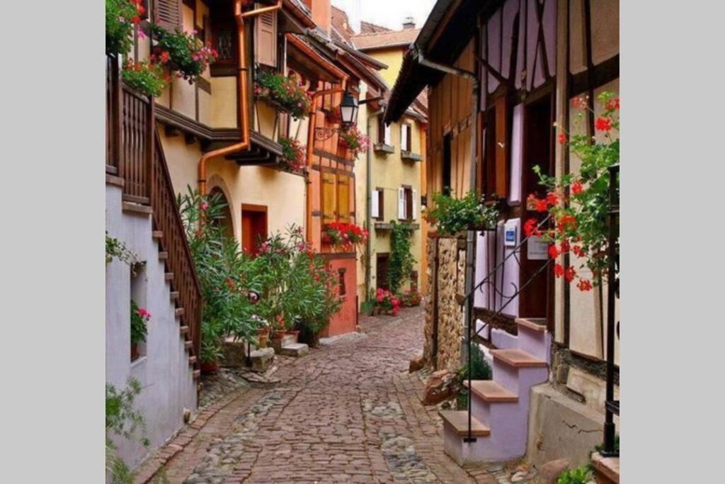 Gite A Eguisheim Proche De Colmar Et Kaysergberg. Εξωτερικό φωτογραφία